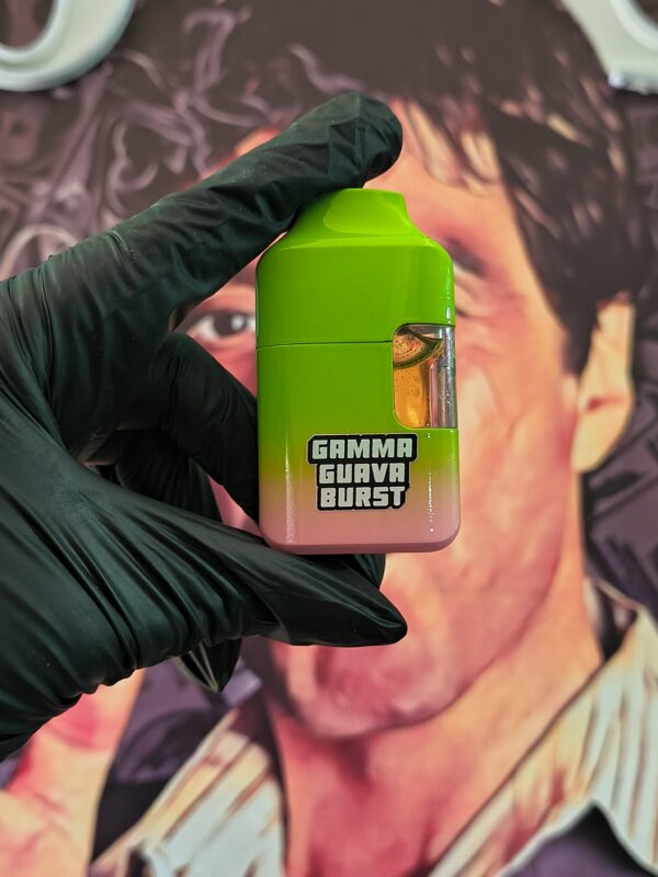 FRYD V2 GAMMA GUAVA BURST (HYBRID) 2gr
