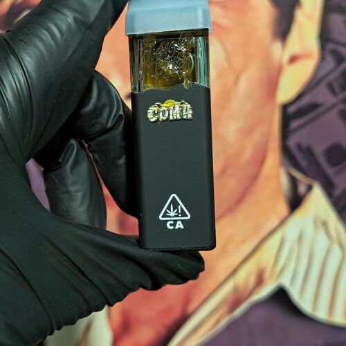 JUNGLE BOYS NEGRO COMA (HYBRID) 2gr