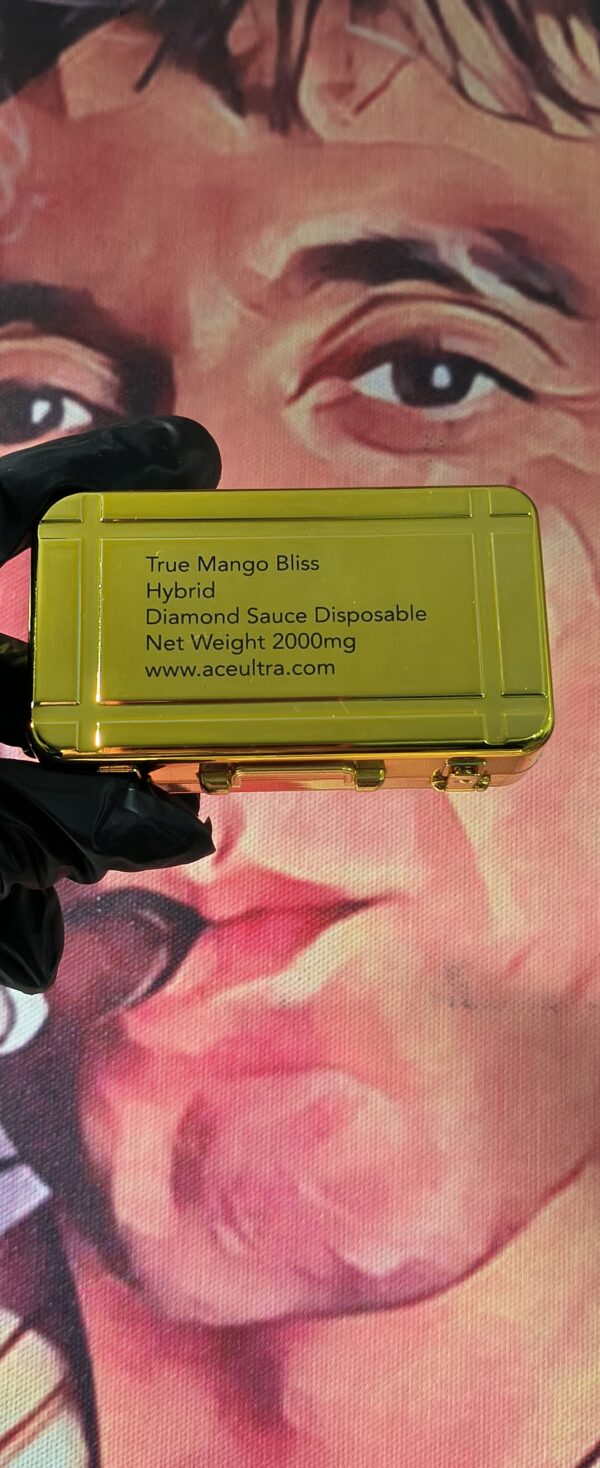 ACE ULTRA PREMIUM TRUE MANGO BLIS (HYBRID) 2gr