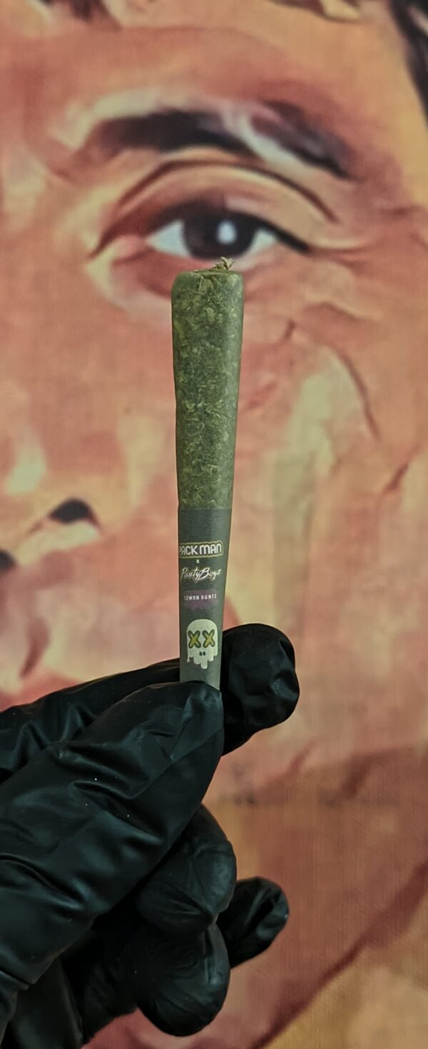 SHERBERT GELATO 5 PACK MAN PANTYBOYZ BUBBLEGUM DIESEL (HYBRID) 3gr