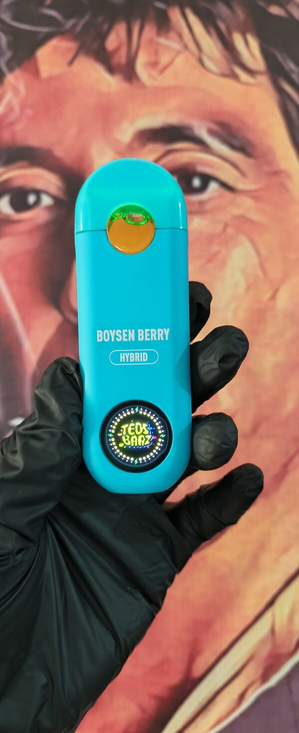 BOYSEN BERRY 4 TEOS BARZ BOYSEN BERRY (HYBRID) 2gr