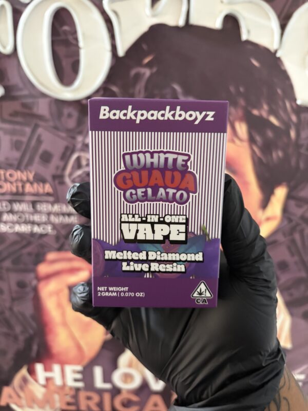 WHITE GUAVA GELATO 1 BACKPACKBOYZ WHITE GUAVA GELATO (HYBRID) 2gr